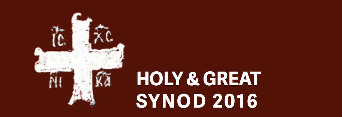 holysynodbanneromhksea
